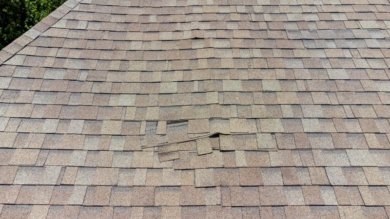 Asphalt Roof Inspection in Springfield, OH
