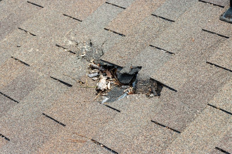 Asphalt Roof Replacement in Clark County, OH