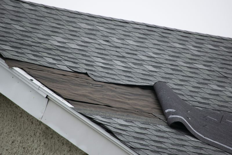 Asphalt Shingles Repair in Russia, OH