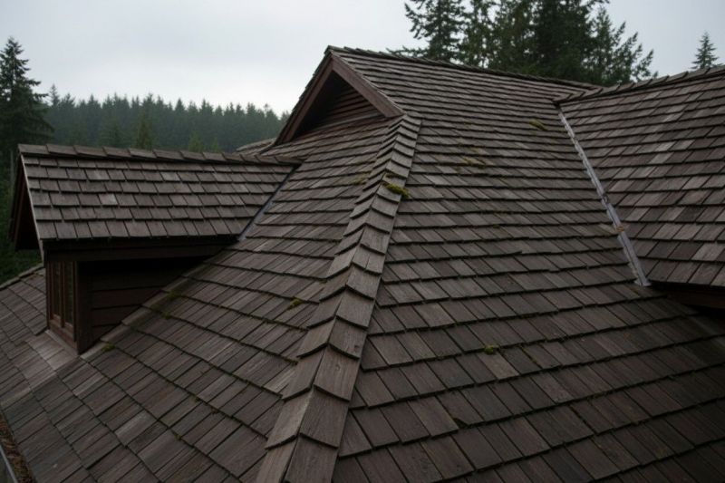 Cedar Shingles Replacement in Russia, OH