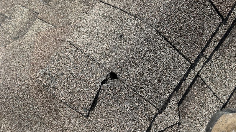 Damaged Roof Repair in Troy, OH